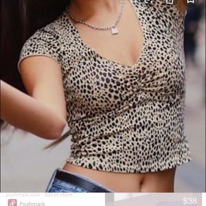 RARE Cheetah Gina brandy top